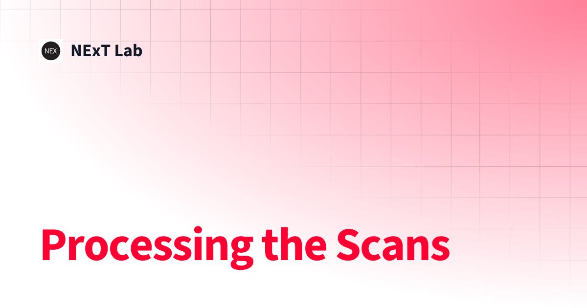 Processing the Scans | NExT Lab